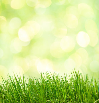 Abstract green natural background. Fresh spring grass.