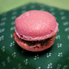 macaroon
