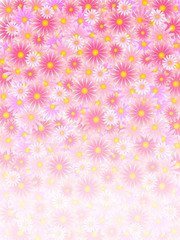 Fototapeta premium 花 花びら 背景 ピンク