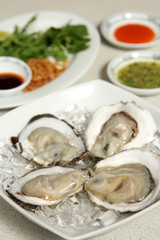 Oyster