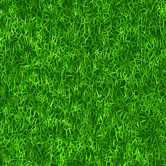 Grassy background