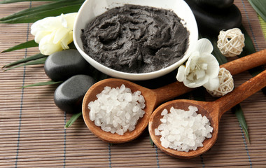 Composition with cosmetic clay for spa treatments,