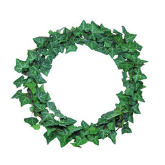 Fototapeta premium couronne de lirre
