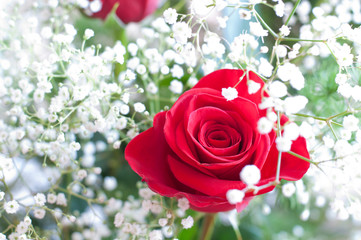 Bouquet of flowers with roses and gypsophilas