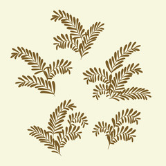Olive branches. Vector design elements
