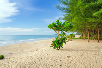 Tropical beach of Khao Lak in Thailand