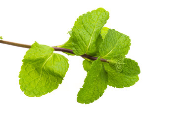 Pepper mint