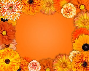Flower Frame with Orange Flowers