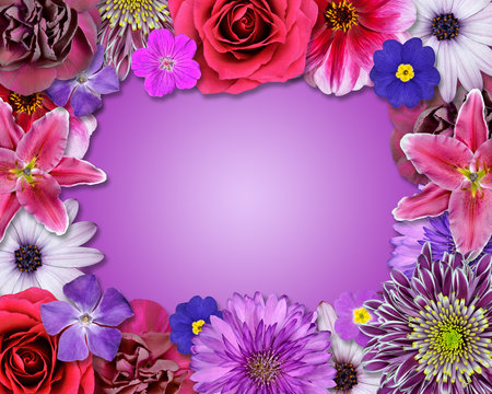 Flower Frame Pink, Purple, Red Flowers