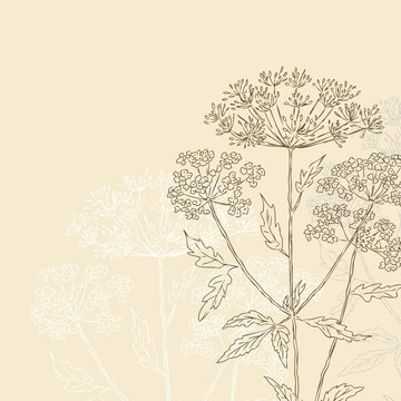 background with umbrellate grass