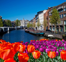 Fototapeta premium Jeden z kanałów w Amsterdamie
