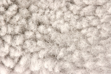 Fur texture detail