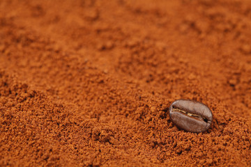 Fototapeta na wymiar Coffee Bean on Coffee Powder