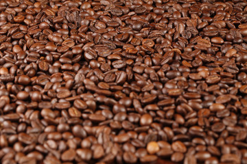 Coffee Bean Scattered