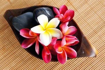 Wellness spa & aromatherapy concept with frangipani flower