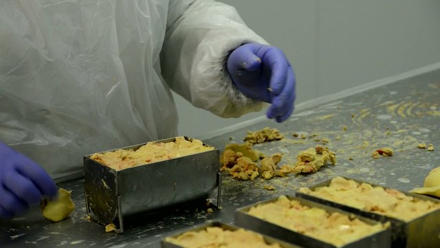 fabrica productos alimenticios