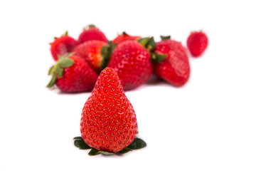 very delicious ripe strawberries in focus with more strawberries