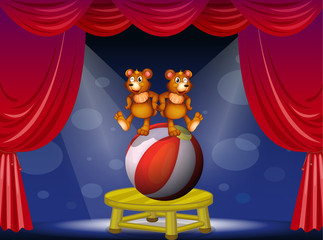 A circus show with two bears