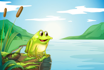 Un tronc à la rivière avec une grenouille