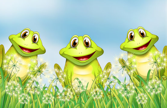 Three happy frogs in the garden