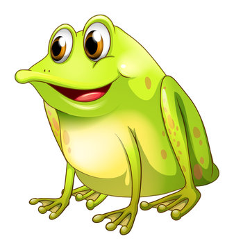 A green bullfrog