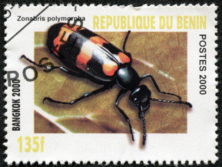 stamp printed in BENIN shows insect