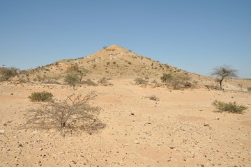 Somali landscape