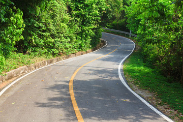 Fototapeta na wymiar Asfalt drogowy w widoku Curve National Park.