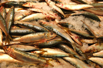 Obraz premium Fischmarkt. Sydney
