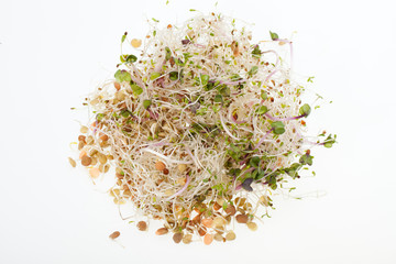 The healthy diet. Fresh sprouts isolated on white background