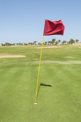 Obraz premium Flag on a golf course green
