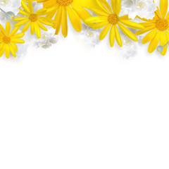 春向け　黄色と白のフラワーアレンジメント上