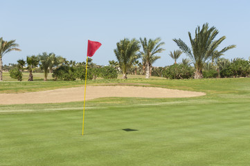Obraz premium View from the green on a golf course