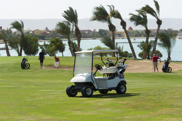 Electric golf buggy on a fairway