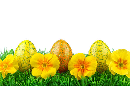 Easter eggs on green grass and white background