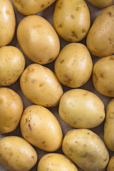Yellow potatoes background
