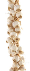 Obraz premium Twisted wreath of garlic
