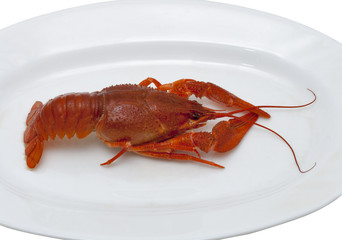 cooked crawfish closeup