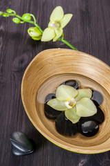 Spa stones and flowers  Orchids in a bowl of water