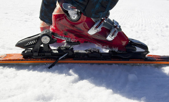 Fototapeta Skiing equipment on snow