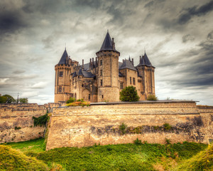 Chateau de Saumur Castle Landscape in France