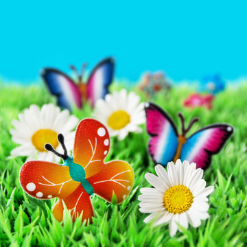 Fr&uuml;hling