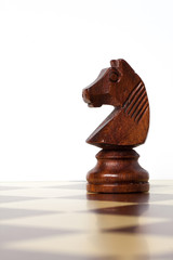 chess knight