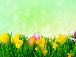 gras