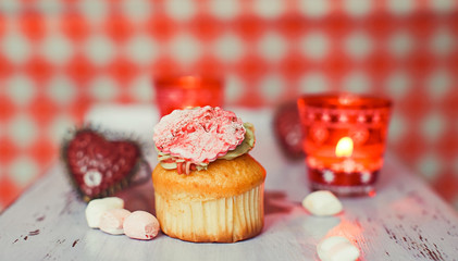 Cupcake on the coloured background