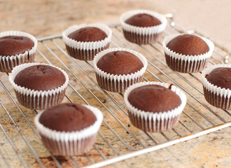 Muffin al cioccolato