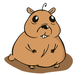 A small and chubby hamster sitting on the floor