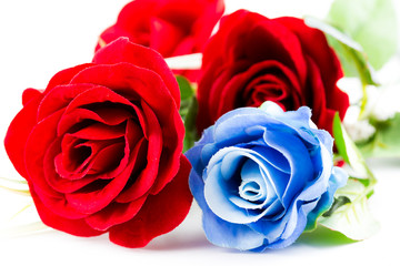 Red and blue roses