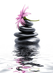 zen spa stones with purple flower