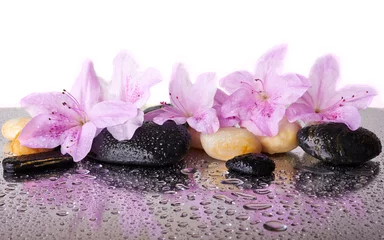 Rosa Blumen und schwarze Steine